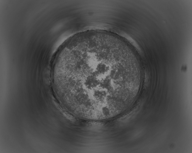X0000091360878200708311503