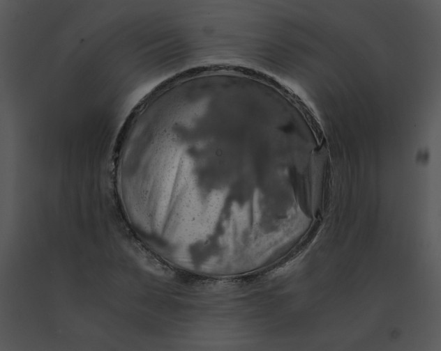 X0000091360879200708311503