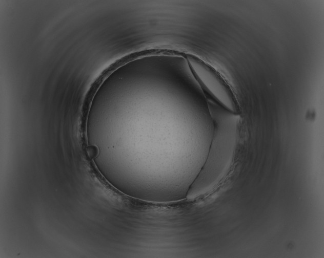 X0000091360880200708311503