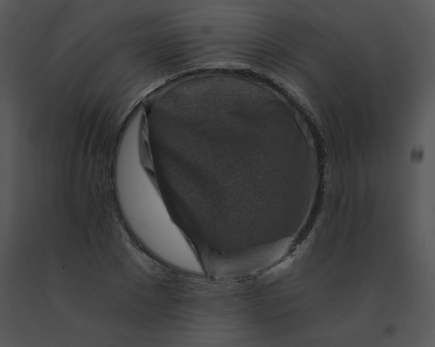 X0000091360881200708311503