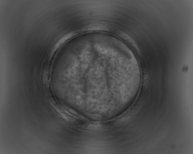 X0000091360882200708311502