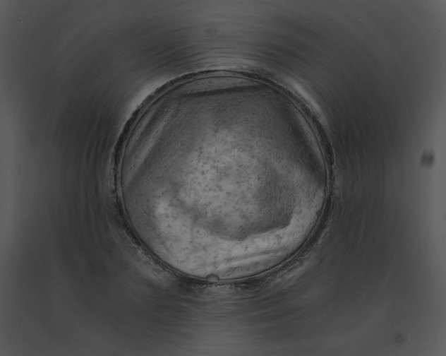 X0000091360883200708311502