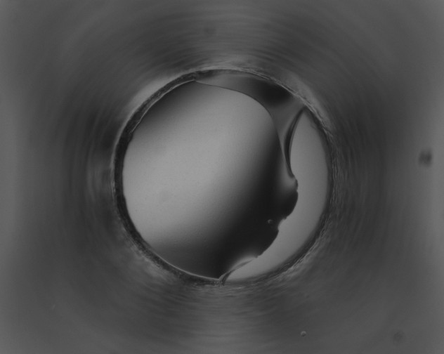 X0000091360884200708311502