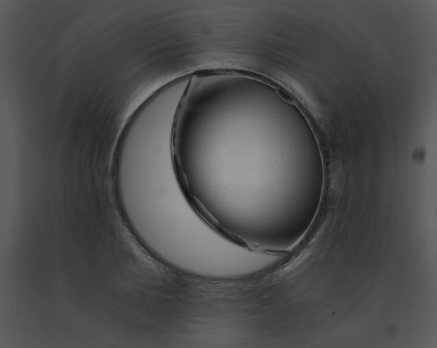 X0000091360885200708311502