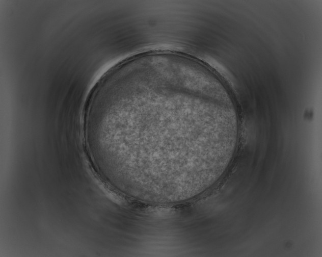 X0000091360886200708311502