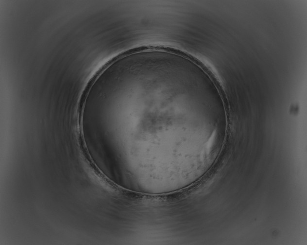 X0000091360887200708311502