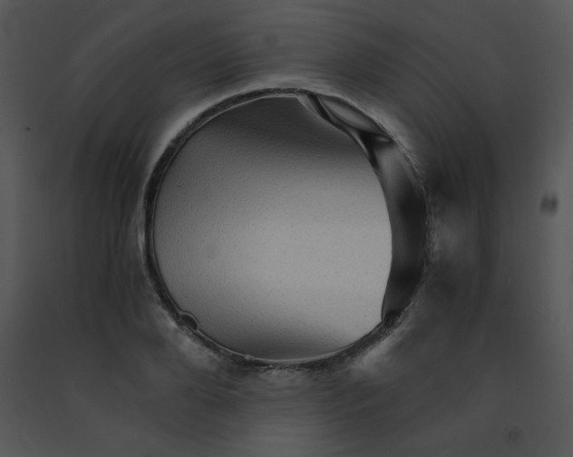 X0000091360888200708311502