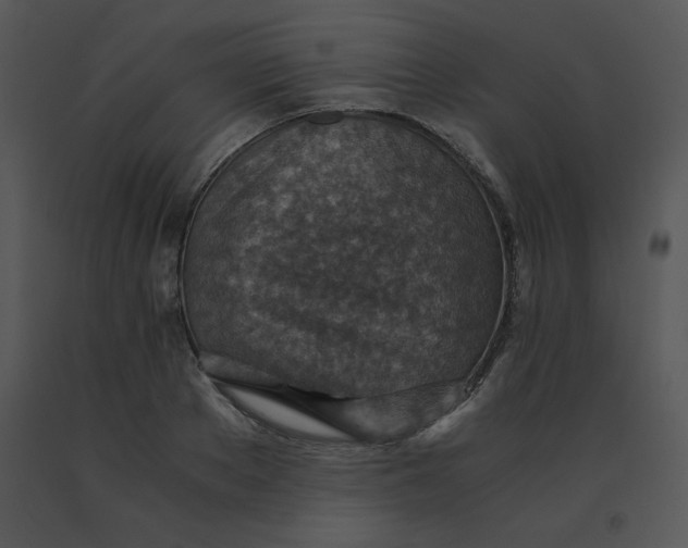 X0000091360889200708311502