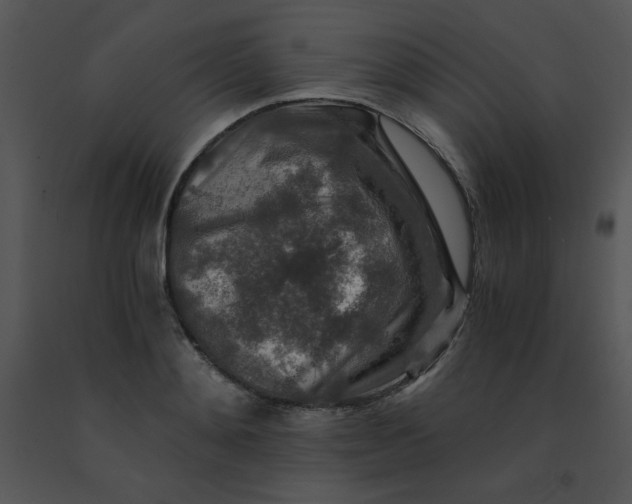 X0000091360892200708311502