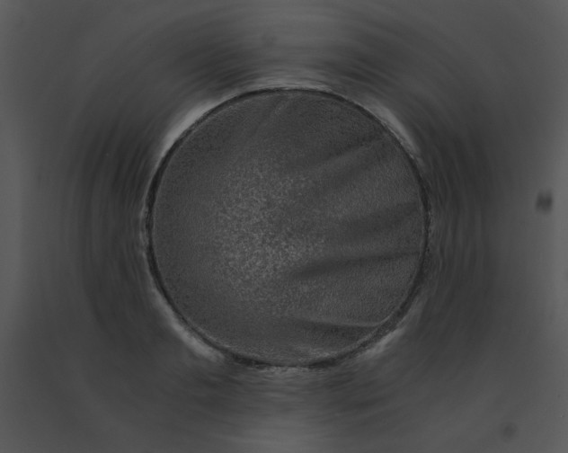 X0000091360893200708311502