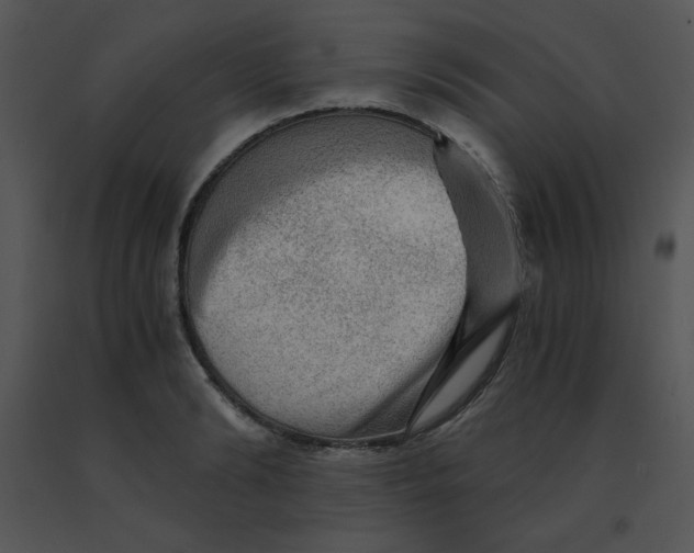 X0000091360894200708311502