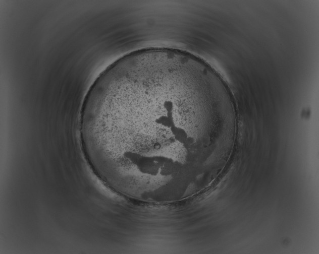 X0000091360895200708311502