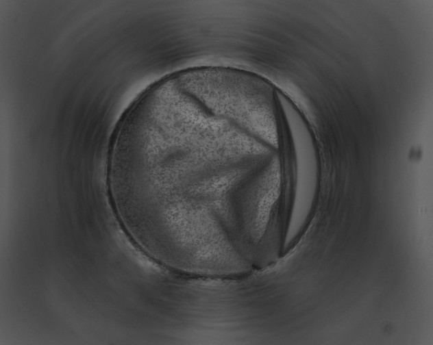 X0000091360896200708311502