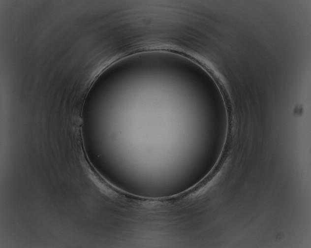 X0000091360897200708311502