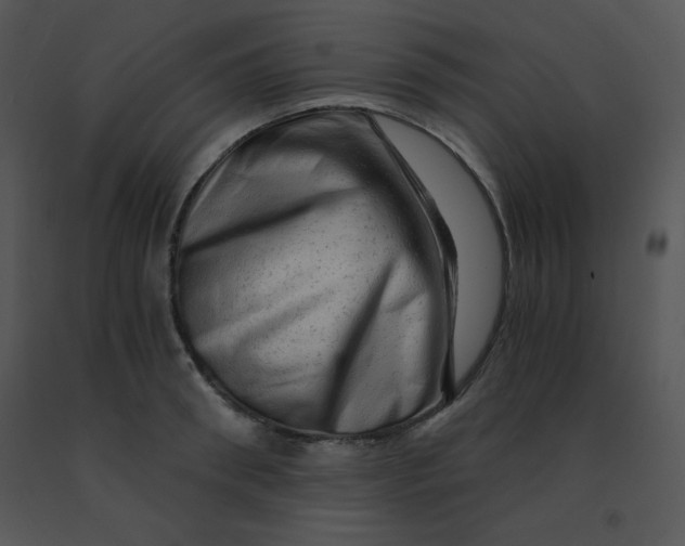 X0000091360898200708311502