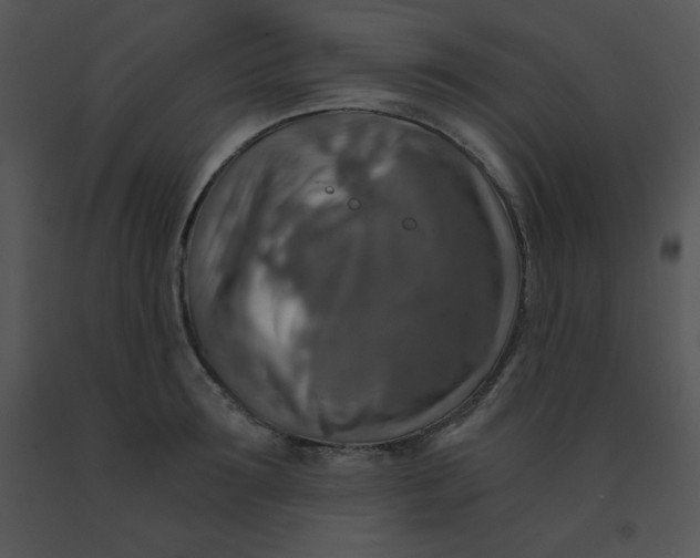 X0000091360899200708311502