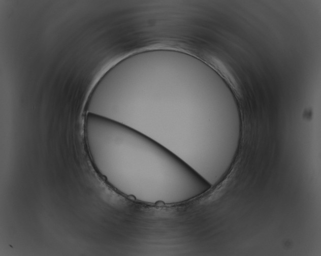 X0000091360900200708311502