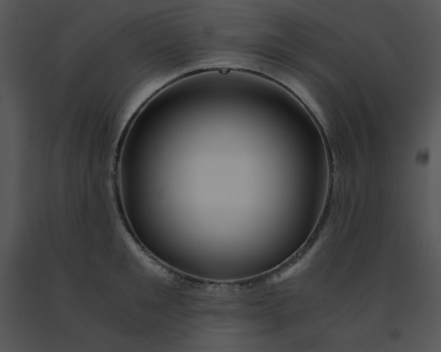 X0000091360901200708311502