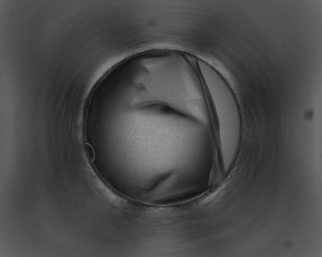 X0000091360902200708311502