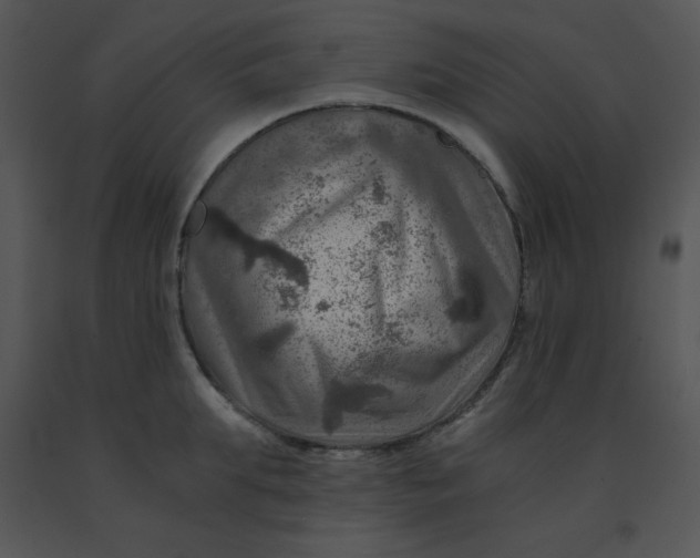 X0000091360903200708311502