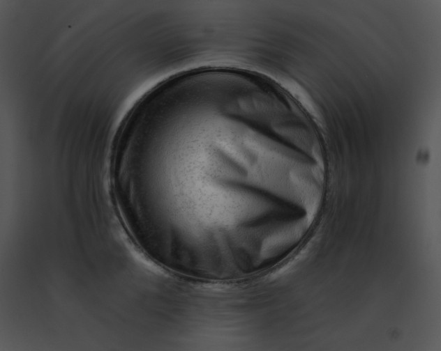 X0000091360904200708311502