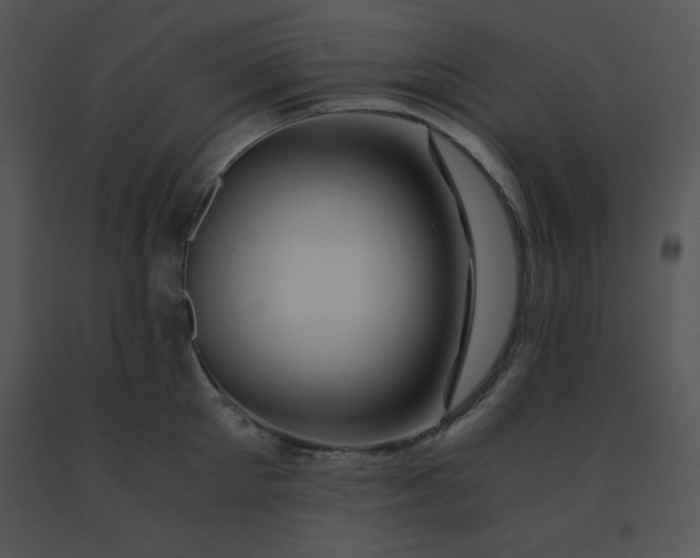 X0000091360905200708311502
