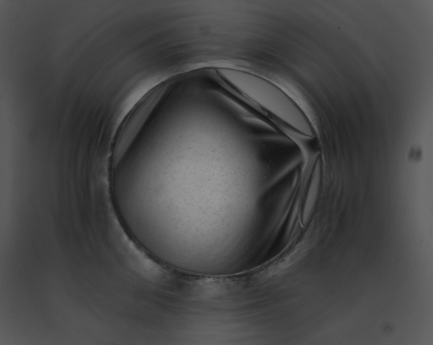 X0000091360906200708311502