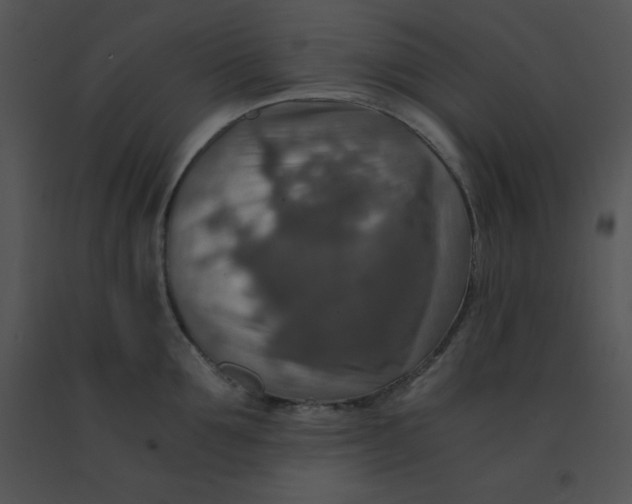 X0000091360907200708311502