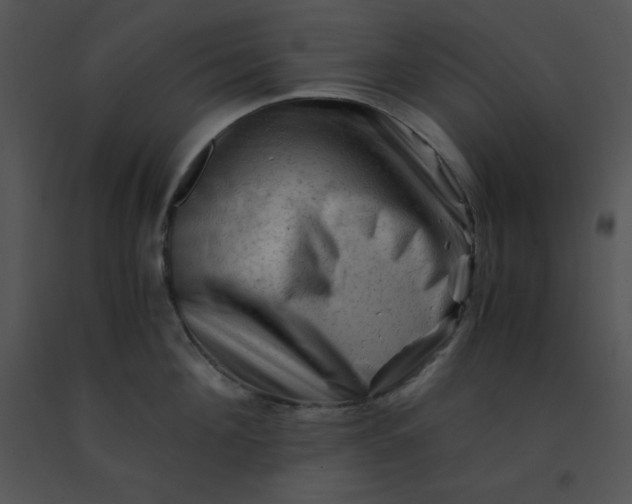 X0000091360908200708311502