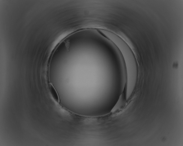X0000091360909200708311502