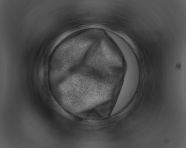 X0000091360910200708311502