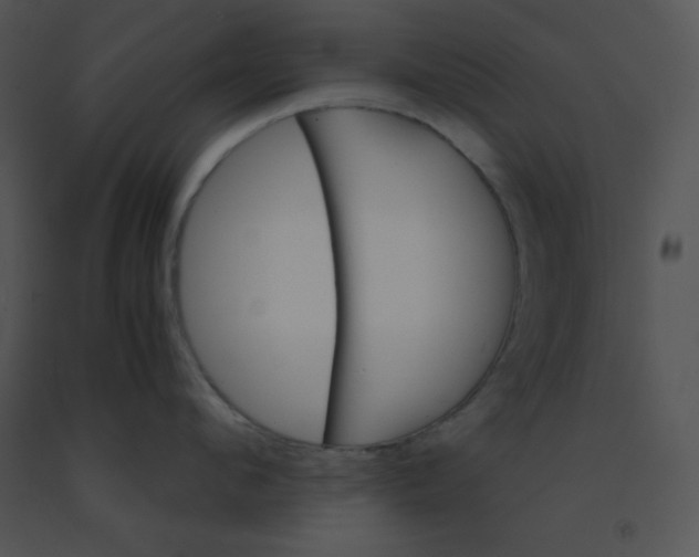 X0000091360912200708311502