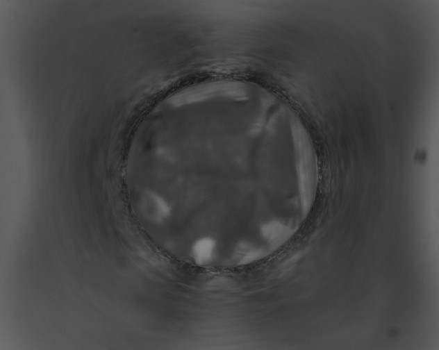 X0000091360913200708311501
