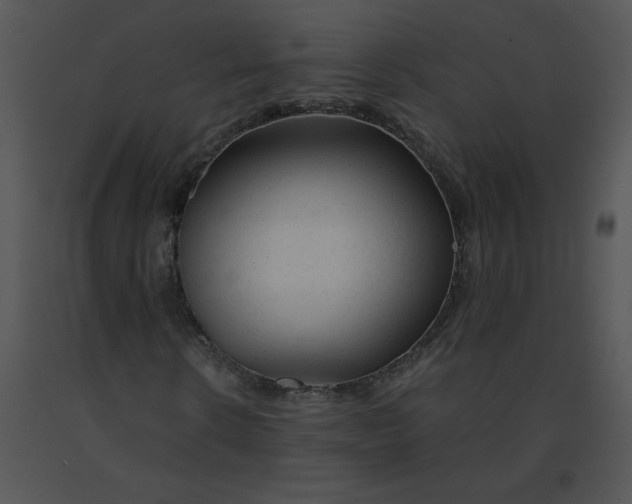 X0000091360914200708311501