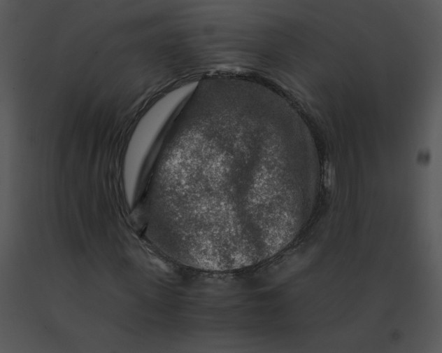 X0000091360915200708311501