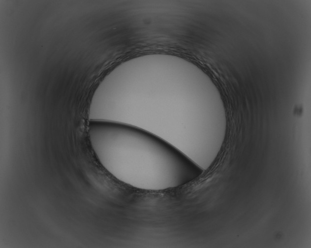 X0000091360916200708311501