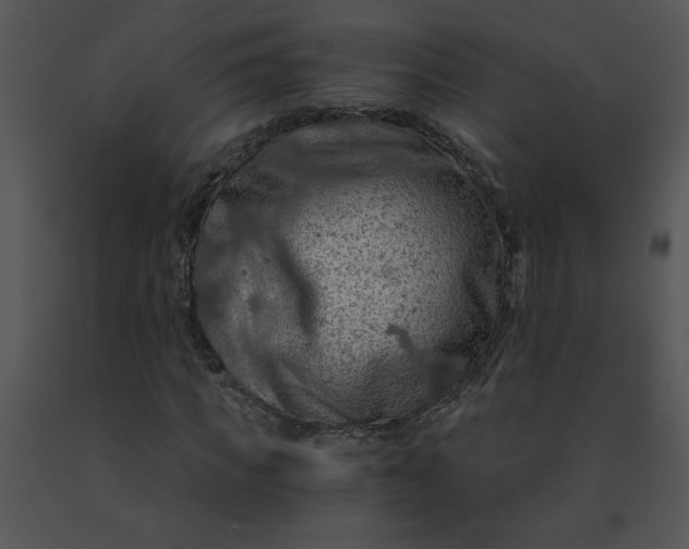 X0000091360917200708311501