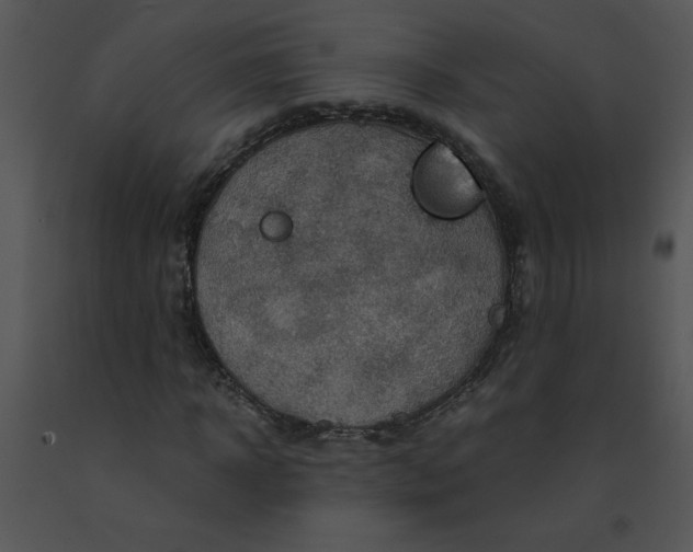 X0000091360918200708311501