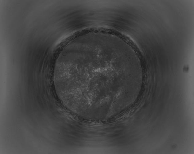X0000091360919200708311501