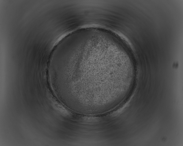 X0000091360921200708311501