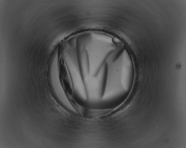 X0000091360922200708311501