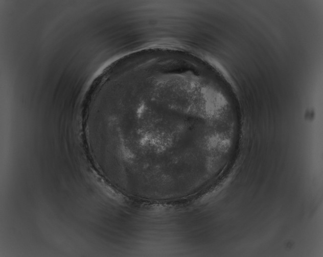 X0000091360923200708311501