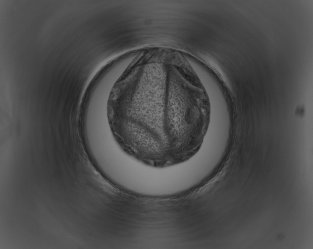 X0000091360924200708311501