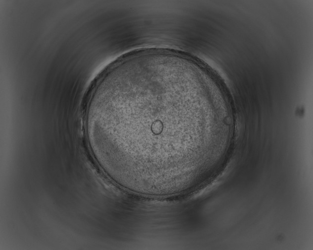 X0000091360925200708311501