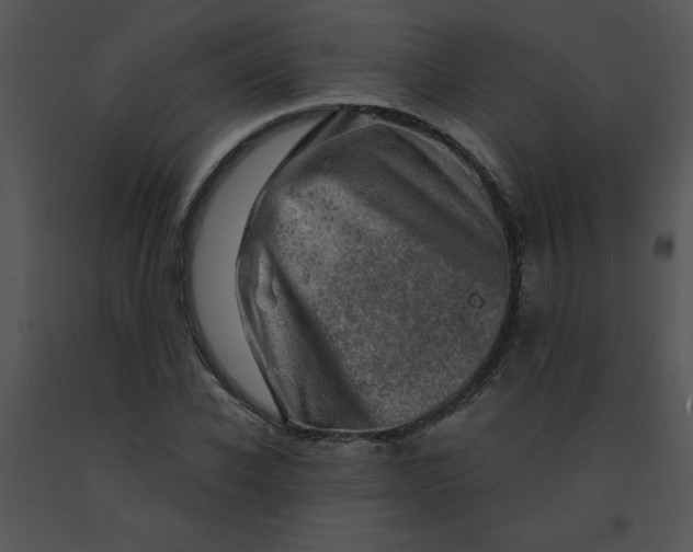 X0000091360926200708311502