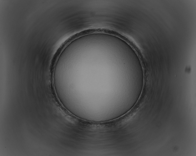 X0000091360927200708311502