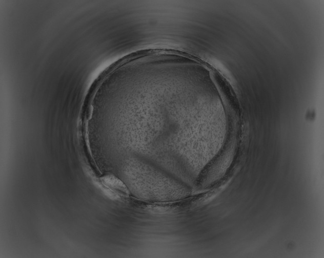 X0000091360928200708311502