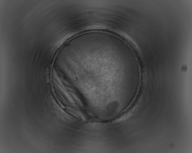 X0000091360929200708311502