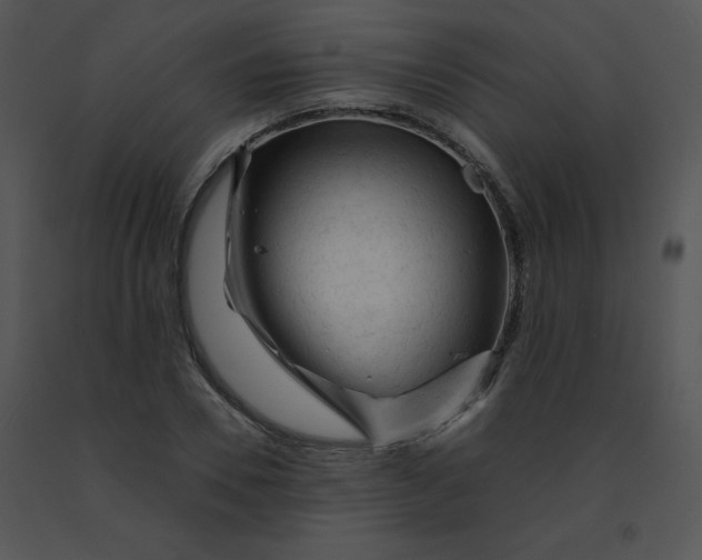 X0000091360930200708311502