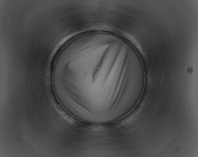 X0000091360931200708311502